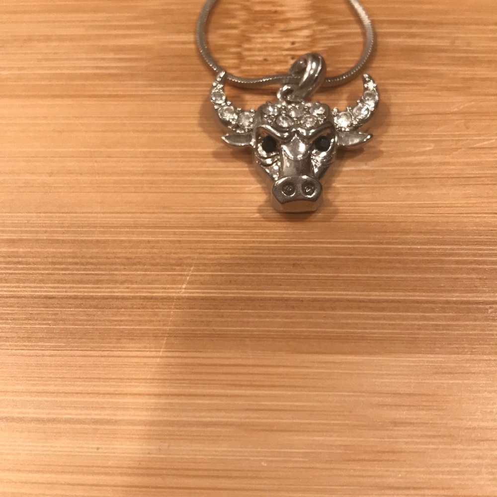 Chicago Bulls head pendant chain - Picture 6 of 7
